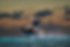_ROD3010_RodrigoSnaps Inc..jpg
