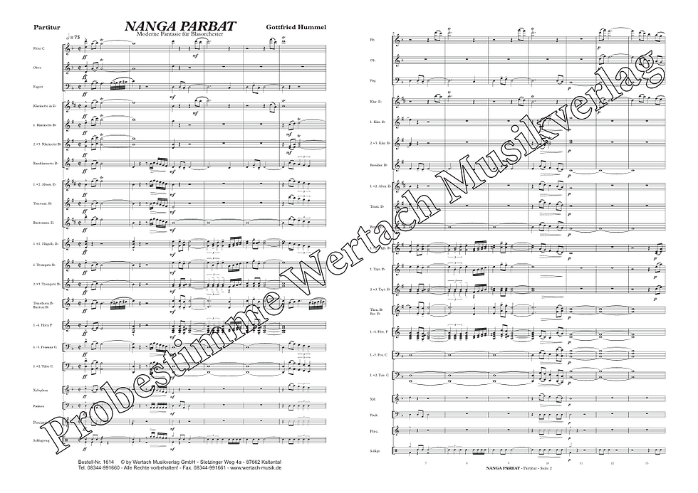 Miniaturbild: Nanga Parbat - Konzertfantasie