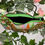 Thumbnail: Geometrically Fine