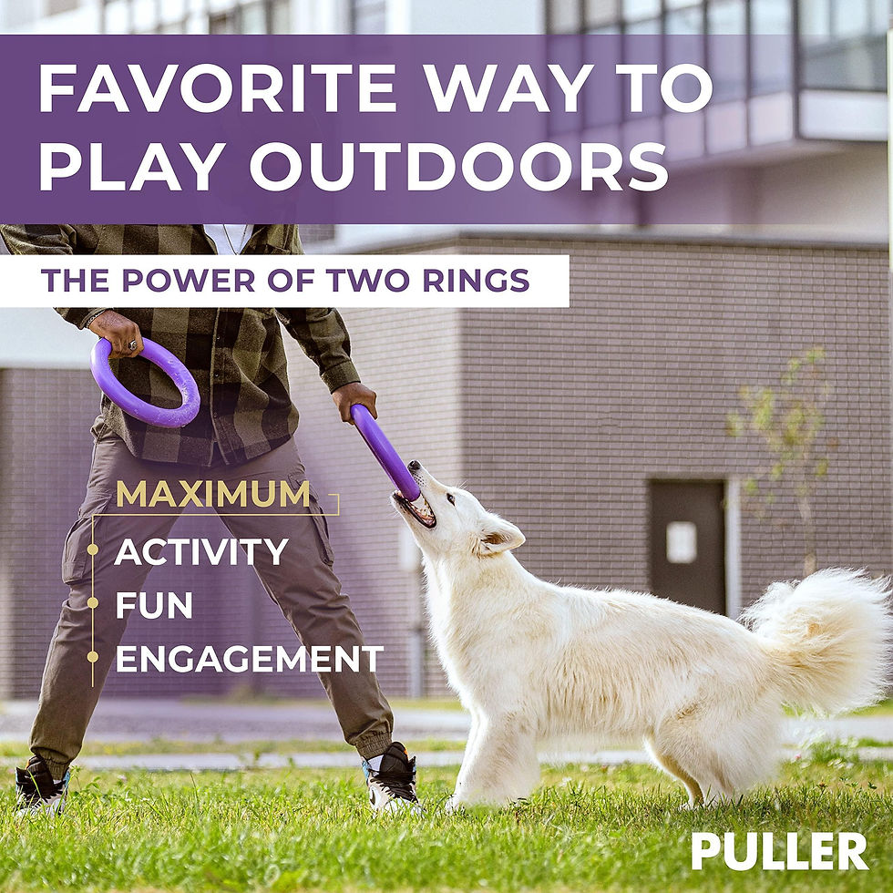 Thumbnail: Puller Outdoor Dog Ring Toys Dog Fetch for Large Dogs Standard Size 2 Rings