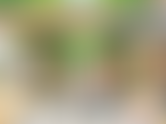 如果你也是為了小孩的成長環境要在北大特區置產