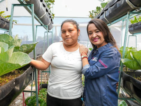 COMITÉ CONSULTIVO DE BIENESTAR SUMA ESFUERZOS CON DEPENDENCIAS PARA ATENDER A FAMILIAS DE TLAXCALA