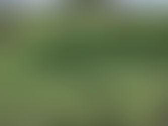 SIA ACTIVA APOYO EMERGENTE PARA PRODUCTORES CON CULTIVOS DAÑADOS POR LLUVIAS