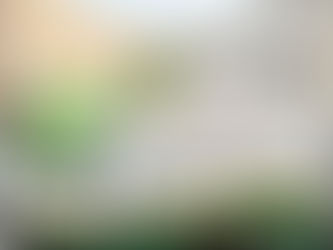 ATIENDE UNIDAD CANINA DE HUAMANTLA REPORTE DE MASCOTAS ENVENENADAS