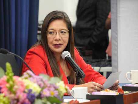 Necesario esclarecer la situación de las cuotas escolares: diputada Leticia Martínez Cerón