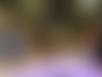 FAN FEST EN TLAXCALA, UN ESPACIO DE DIVERSIÓN, DEPORTE Y UNIÓN FAMILIAR