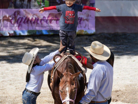 EQUINOTERAPIA BRINDA BIENESTAR Y DESARROLLO INTEGRAL A PERSONAS CON DISCAPACIDAD