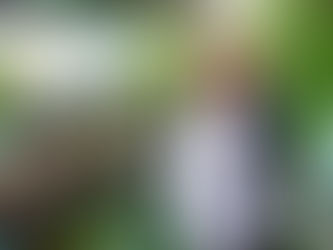 IMPULSAN BIENESTAR RURAL CON PROGRAMAS DE ASISTENCIA TÉCNICA Y CAPACITACIÓN PARA PRODUCTORES VULNERABLES