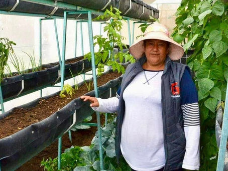 IMPULSAN BIENESTAR RURAL CON PROGRAMAS DE ASISTENCIA TÉCNICA Y CAPACITACIÓN PARA PRODUCTORES VULNERABLES