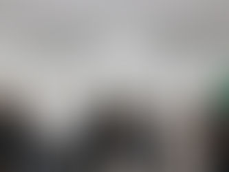 ACUERDAN PUEBLA Y TLAXCALA TRABAJO EN CONJUNTO A FAVOR DEL MEDIO AMBIENTE