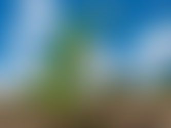 INVITAN AUTORIDADES A AGRICULTORES DE HUAMANTLA A REGISTRARSE EN EL PROGRAMA PAISA 2023