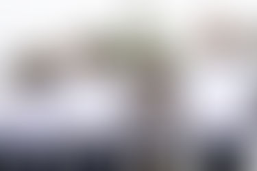 Inaugura la Rectora Lilia Cedillo Ramírez la Expo Hortícola Puebla BUAP 2025