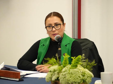 Es necesario fortalecer la difusión de programas de financiamiento: diputada Reyna Flor Báez Lozano