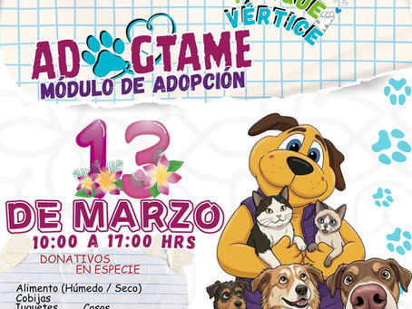 MEDIANTE JORNADAS “ADOGTAME”, 91 PERRITOS RESCATADOS ENCUENTRAN HOGAR