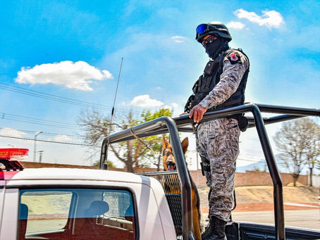 ASEGURA POLICÍA DE HUAMANTLA A 12 PERSONAS POR PORTACIÓN Y CONSUMO DE ESTUPEFACIENTES EN LA VÍA PÚBL