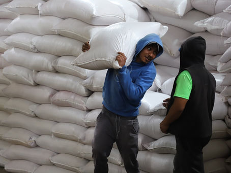 INICIA LA ENTREGA DE SEMILLA DE AVENA A EJIDOS AFECTADOS POR LLUVIAS Y GRANIZO