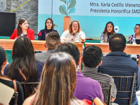 PRESENTA SMDIF HUAMANTLA PLAN DE TRABAJO SOBRE SALUD MENTAL Y EMOCIONAL