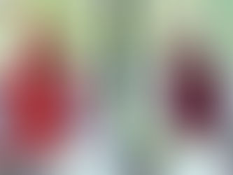 Suplente de Carlos Morales renuncia y se suma a campaña de Mauricio Toledo.