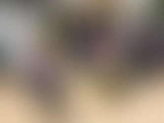 DIF DE TEXMELUCAN ENTREGA APARATOS ORTOPÉDICOS A GRUPOS VULNERABLES