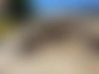 *ITIFE Y UPTX AMPLÍAN LA INFRAESTRUCTURA DE LA UNIVERSIDAD