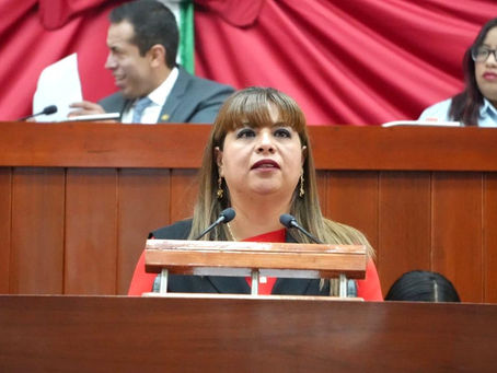 Busca diputada Gabriela Esperanza Brito Jiménez legislar a favor de la eliminación de la violencia o