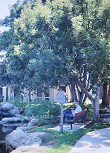 Peaceful Meditation Garden
