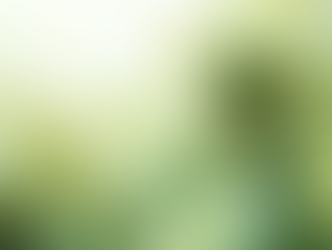 Green nature human in sunshin
