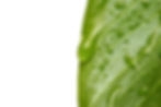 Fotolia_44958_Subscription_L.jpg