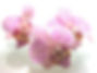 Fotolia_13581_Subscription_M.jpg