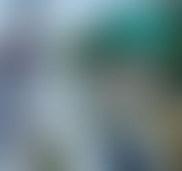 58. Farmington, MO to Chester, IL