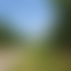 56-57. Ellington to Farmington, MO