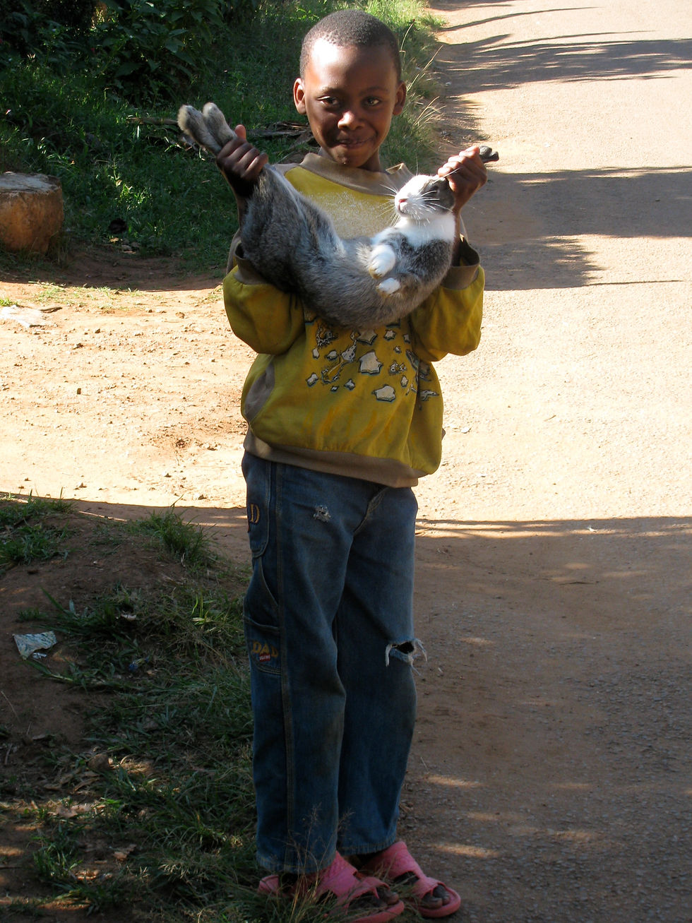 A young boy carries a big rabbit by its ears and hind legs.