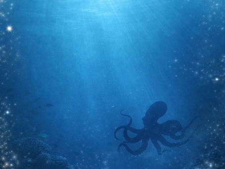 What The Soul of an Octopus Taught Me About Slowing Down and Reconnecting