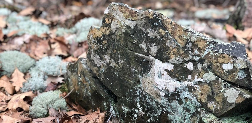 Site Tour - May 11th at 4pm