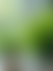 Maximize Resultados com Nossos Serviços de Qualidade