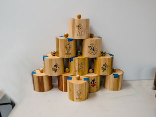 Re: MSWG Beads of Courage Program