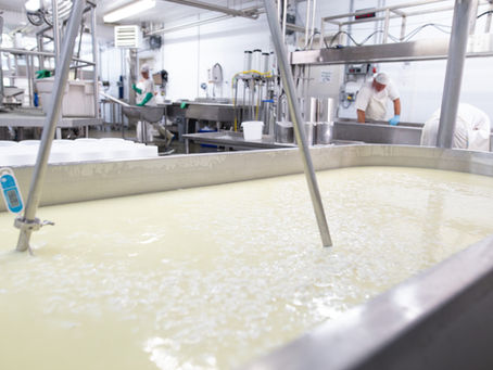 Le caillé : une étape clé dans la fabrication du fromage