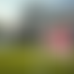 Avoid These First-Time Homebuyer Mistakes to Avoid