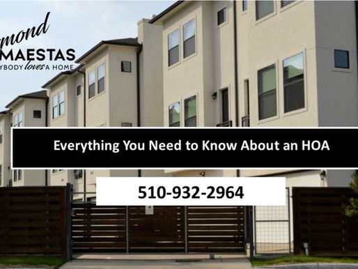 Everything You Need to Know About Homeowners Associations