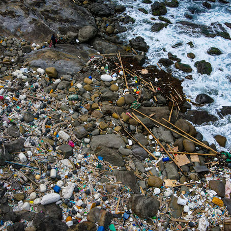 The Sea Beneath the Waste: Photography and Ecological Responsibility