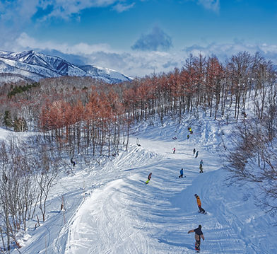 Melodies on the Ski Slope