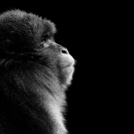 Netherlands’ Katiche van der Knoop Wins Photo of the Season for Black & White Fine Art Photography
