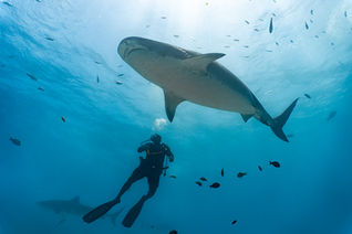 Best Photography Awards UK 2026 – Summer Season Results Released