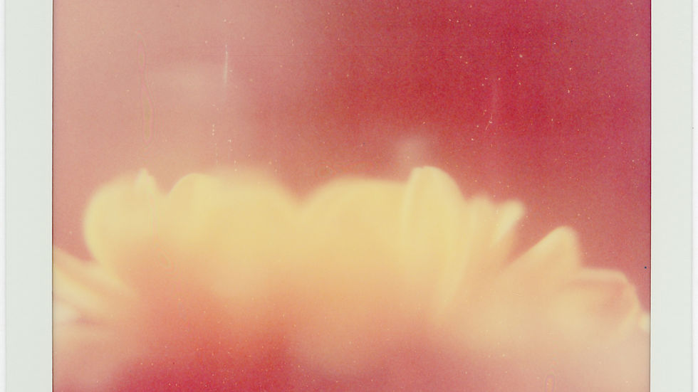 Blurred Illusion: KH Explores the Space Between Reality and Dream