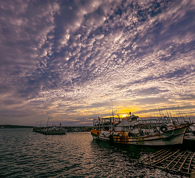 The Harbor's Last Light