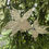Thumbnail: Triple Crystal Glitter Poinsettia Stem