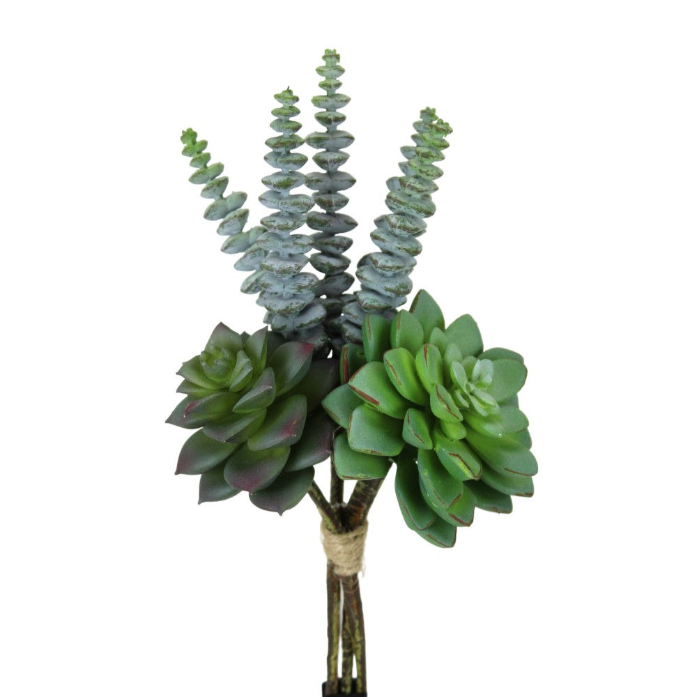 10" Mix Succulent Bundle UV