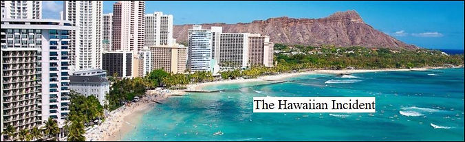 Honolulu Beach BannerTitled framed.jpg
