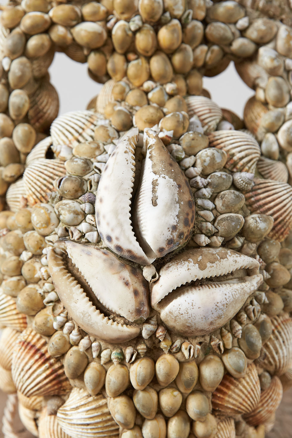 Thumbnail: An early 20th-century shell-encrusted vessel, later converted to a table lamp