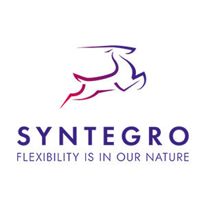 Syntegro